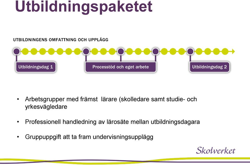 studie- och yrkesvägledare Professionell handledning