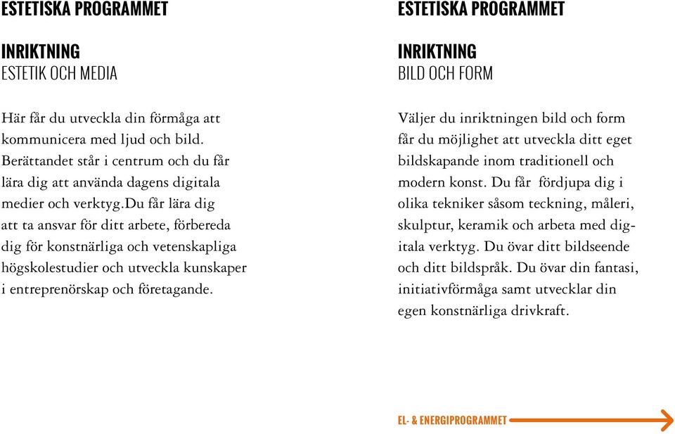 du får lära dig att ta ansvar för ditt arbete, förbereda dig för konstnärliga och vetenskapliga högskolestudier och utveckla kunskaper i entreprenörskap och företagande.