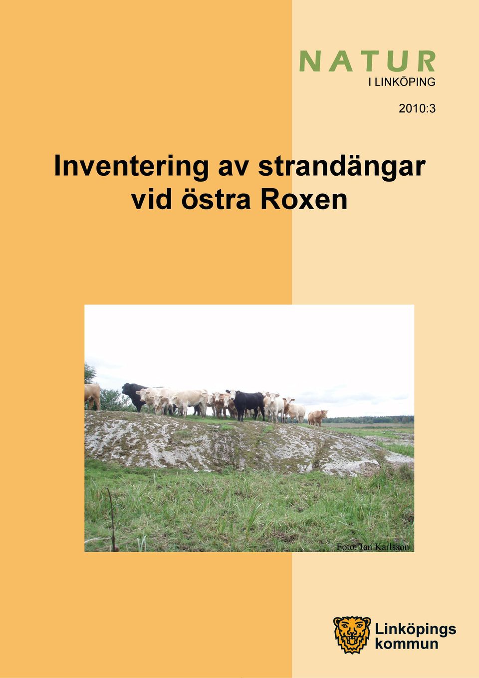 strandängar vid östra