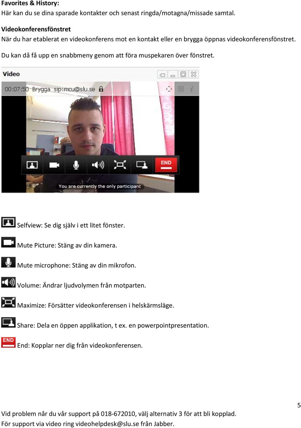 Du kan då få upp en snabbmeny genom att föra muspekaren över fönstret. Selfview: Se dig själv i ett litet fönster. Mute Picture: Stäng av din kamera.