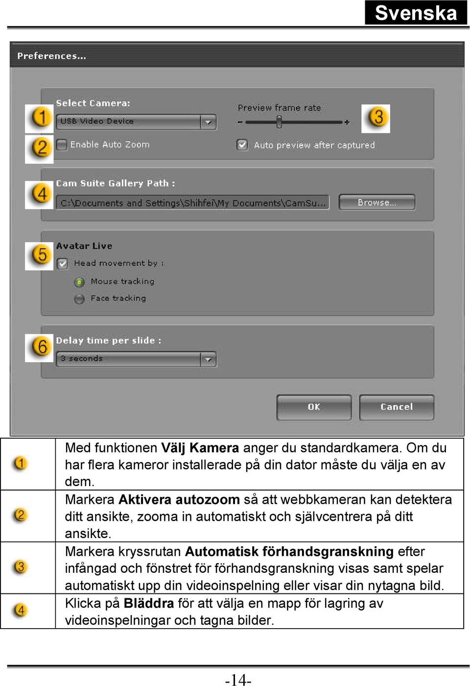 Markera kryssrutan Automatisk förhandsgranskning efter infångad och fönstret för förhandsgranskning visas samt spelar automatiskt upp