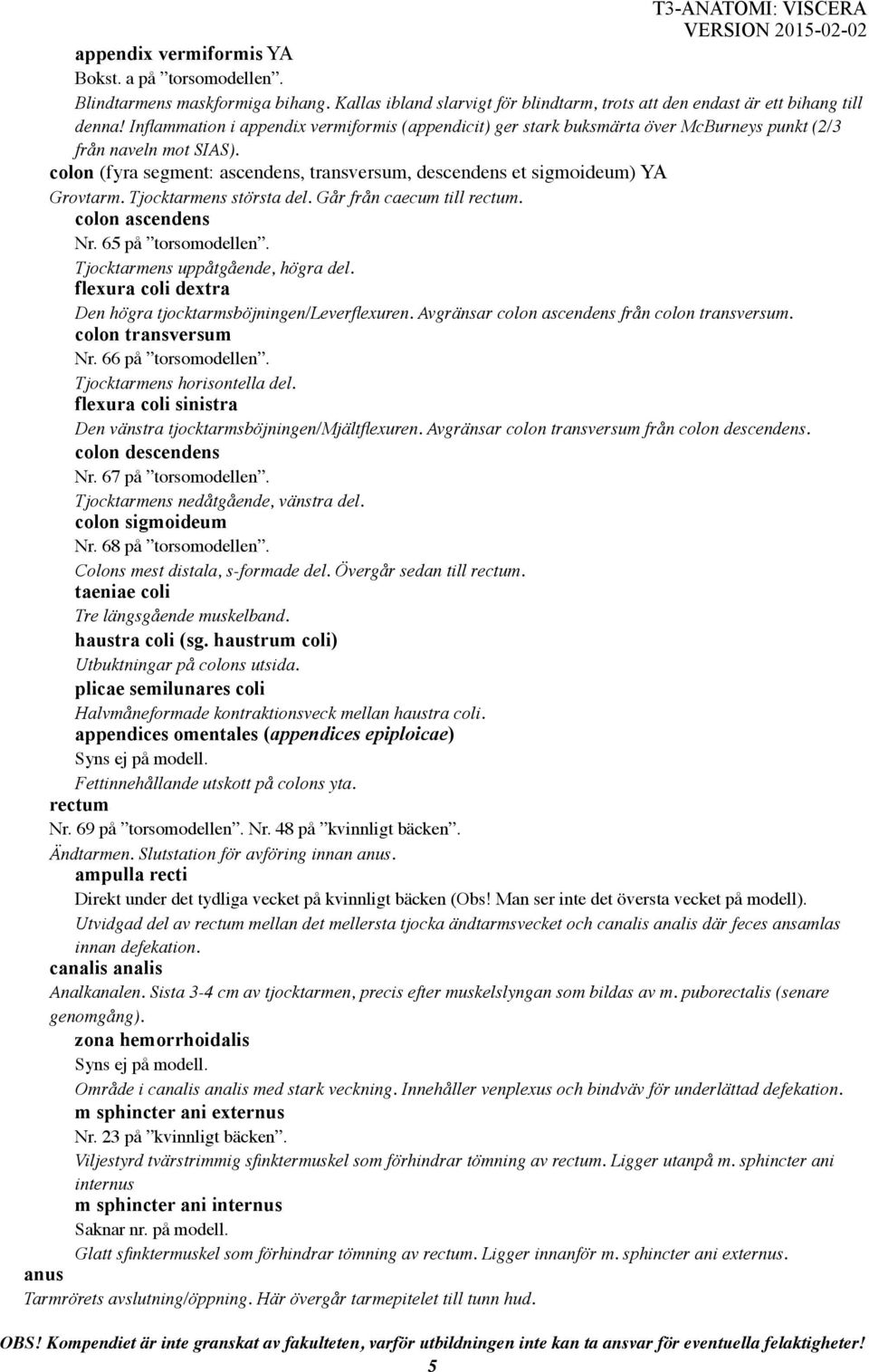 colon (fyra segment: ascendens, transversum, descendens et sigmoideum) YA Grovtarm. Tjocktarmens största del. Går från caecum till rectum. colon ascendens Nr. 65 på torsomodellen.