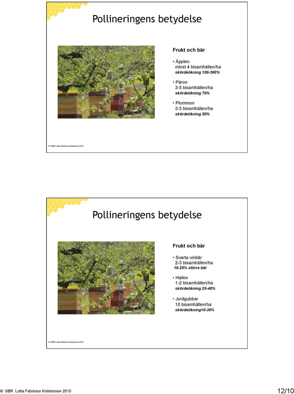 Pollineringens betydelse Frukt och bär Svarta vinbär 2-3 bisamhällen/ha 10-25% större bär