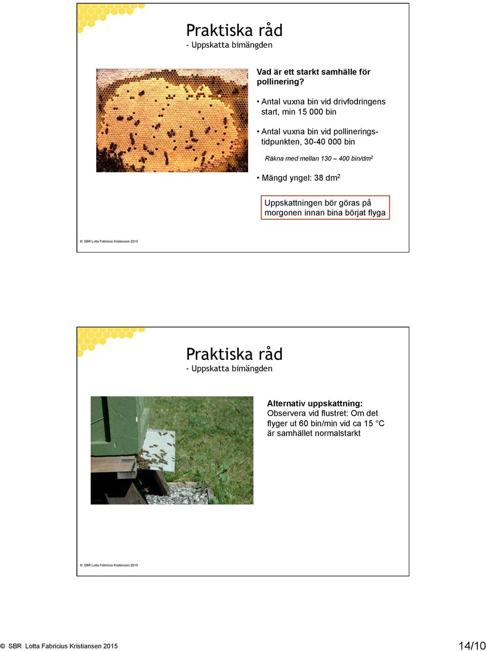 Räkna med mellan 130 400 bin/dm 2 Mängd yngel: 38 dm 2 Uppskattningen bör göras på morgonen innan bina börjat flyga