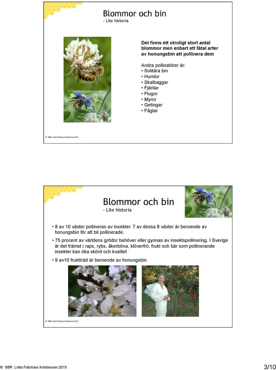 7 av dessa 8 växter är beroende av honungsbin för att bli pollinerade. 75 procent av världens grödor behöver eller gynnas av insektspollinering.