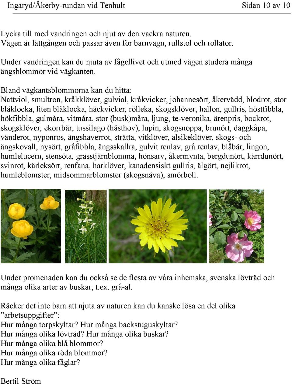 Bland vägkantsblommorna kan du hitta: Nattviol, smultron, kråkklöver, gulvial, kråkvicker, johannesört, åkervädd, blodrot, stor blåklocka, liten blåklocka, häckvicker, rölleka, skogsklöver, hallon,