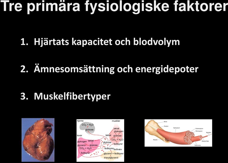 Hjärtats kapacitet och