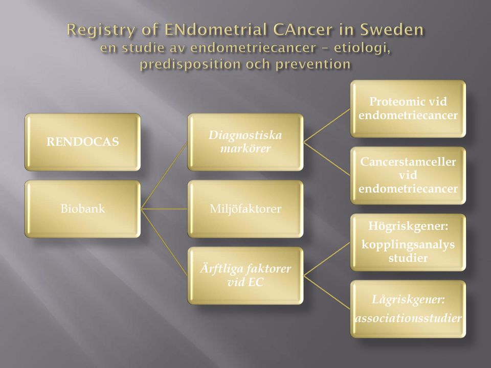 endometriecancer Cancerstamceller vid endometriecancer