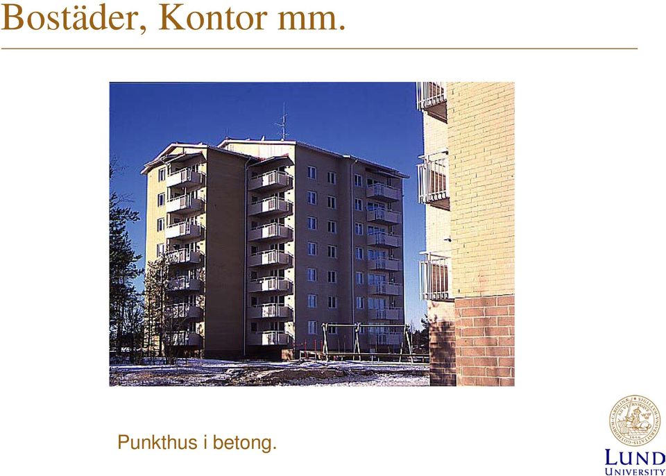 Punkthus