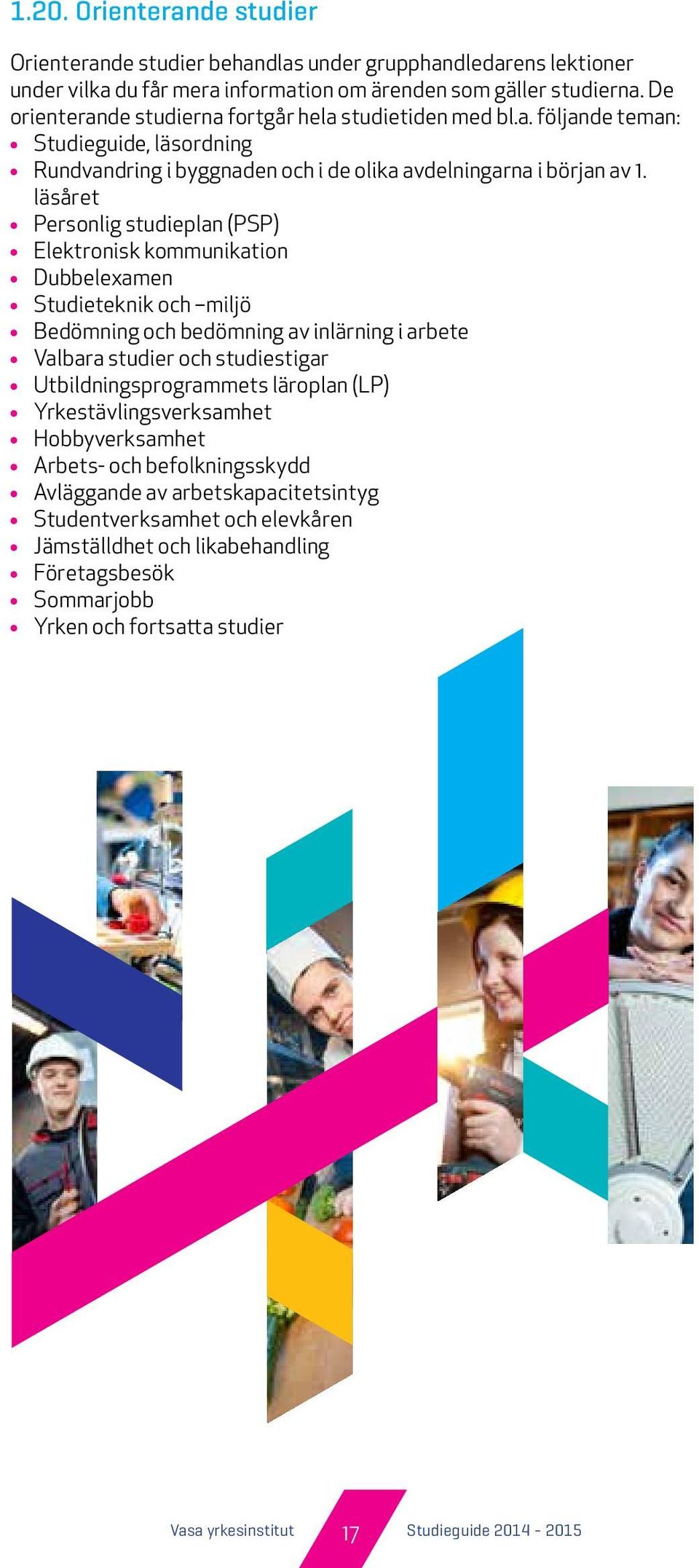 läsåret Personlig studieplan (PSP) Elektronisk kommunikation Dubbelexamen Studieteknik och miljö Bedömning och bedömning av inlärning i arbete Valbara studier och studiestigar Utbildningsprogrammets