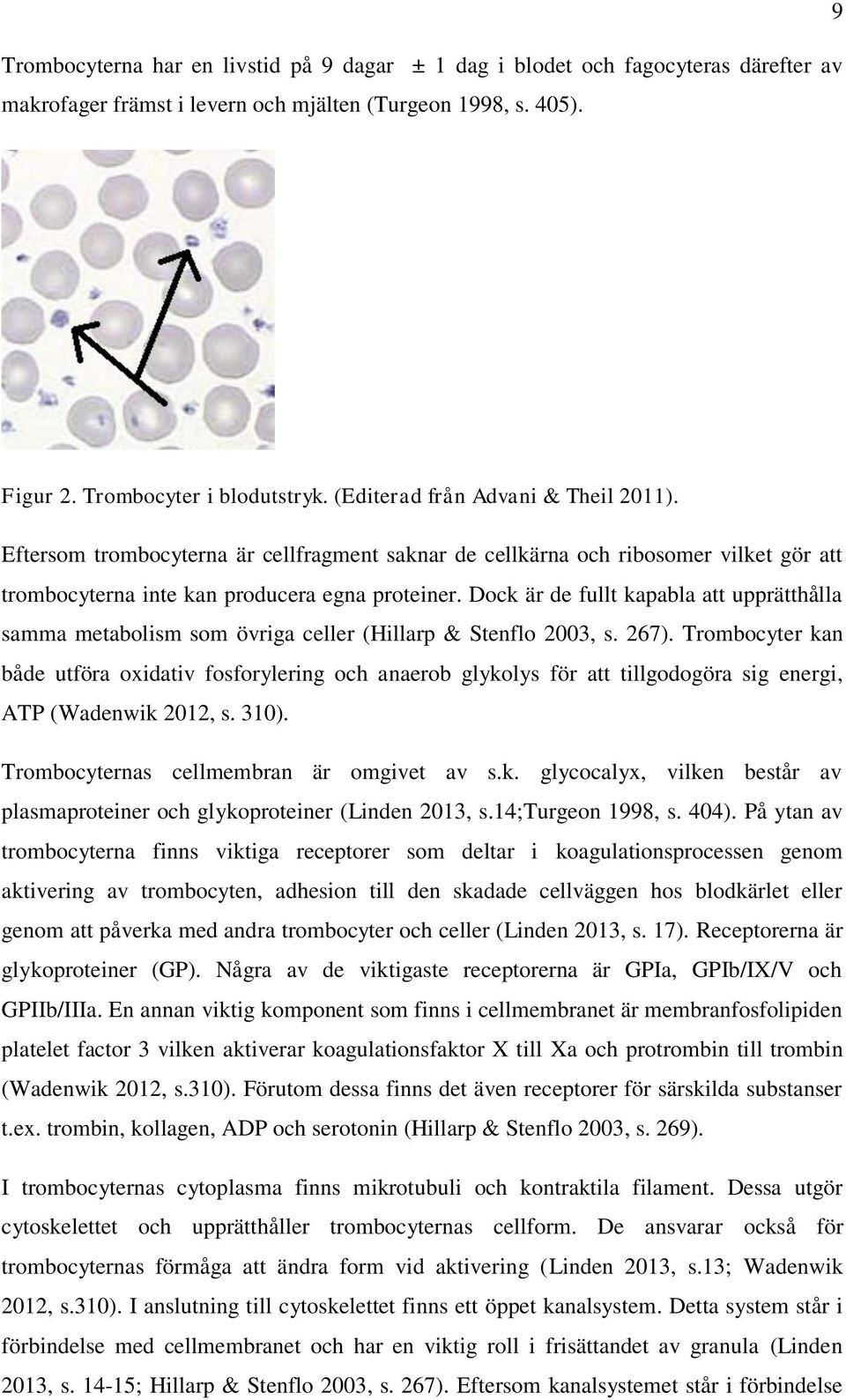 Dock är de fullt kapabla att upprätthålla samma metabolism som övriga celler (Hillarp & Stenflo 2003, s. 267).