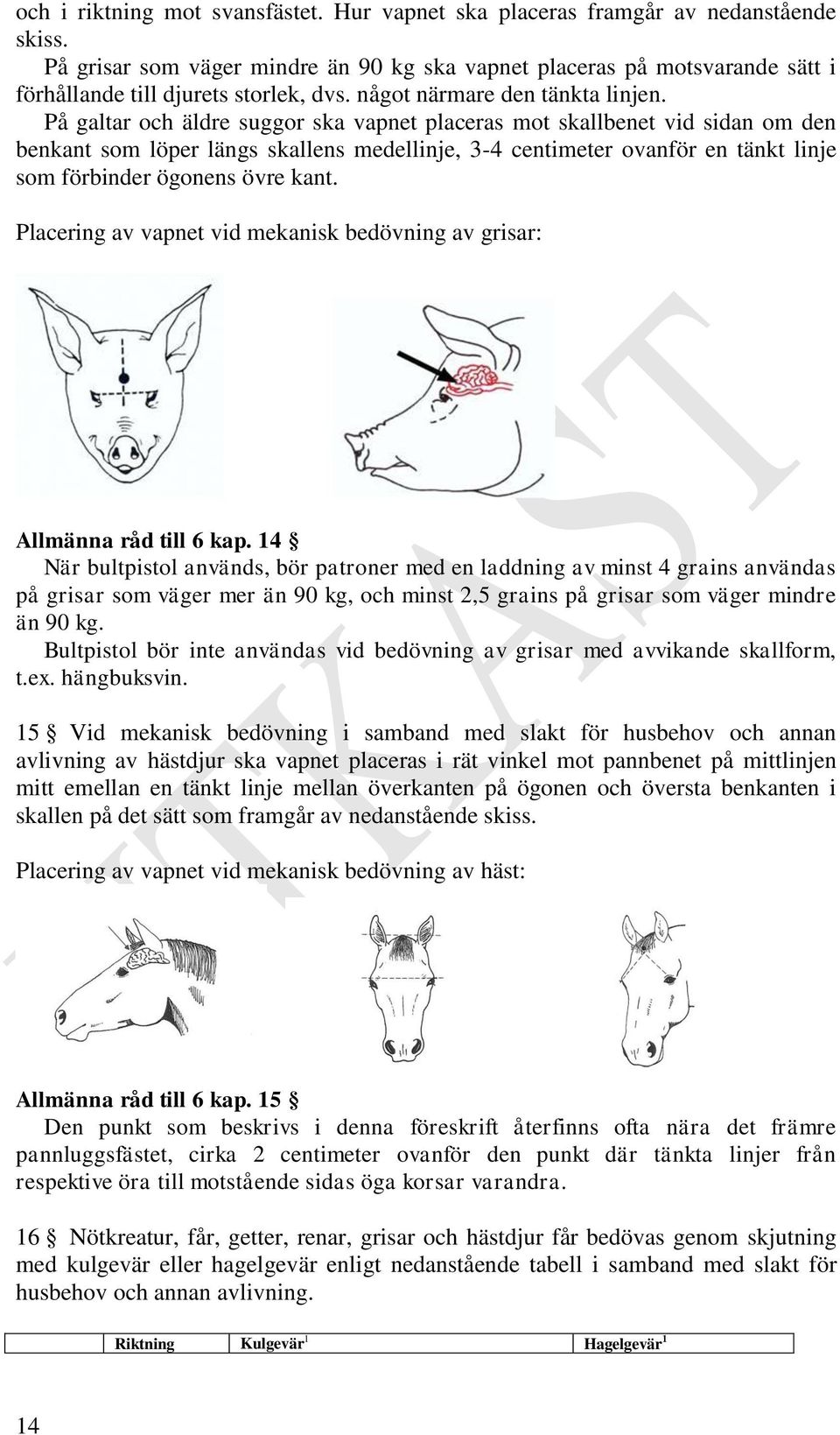 På galtar och äldre suggor ska vapnet placeras mot skallbenet vid sidan om den benkant som löper längs skallens medellinje, 3-4 centimeter ovanför en tänkt linje som förbinder ögonens övre kant.
