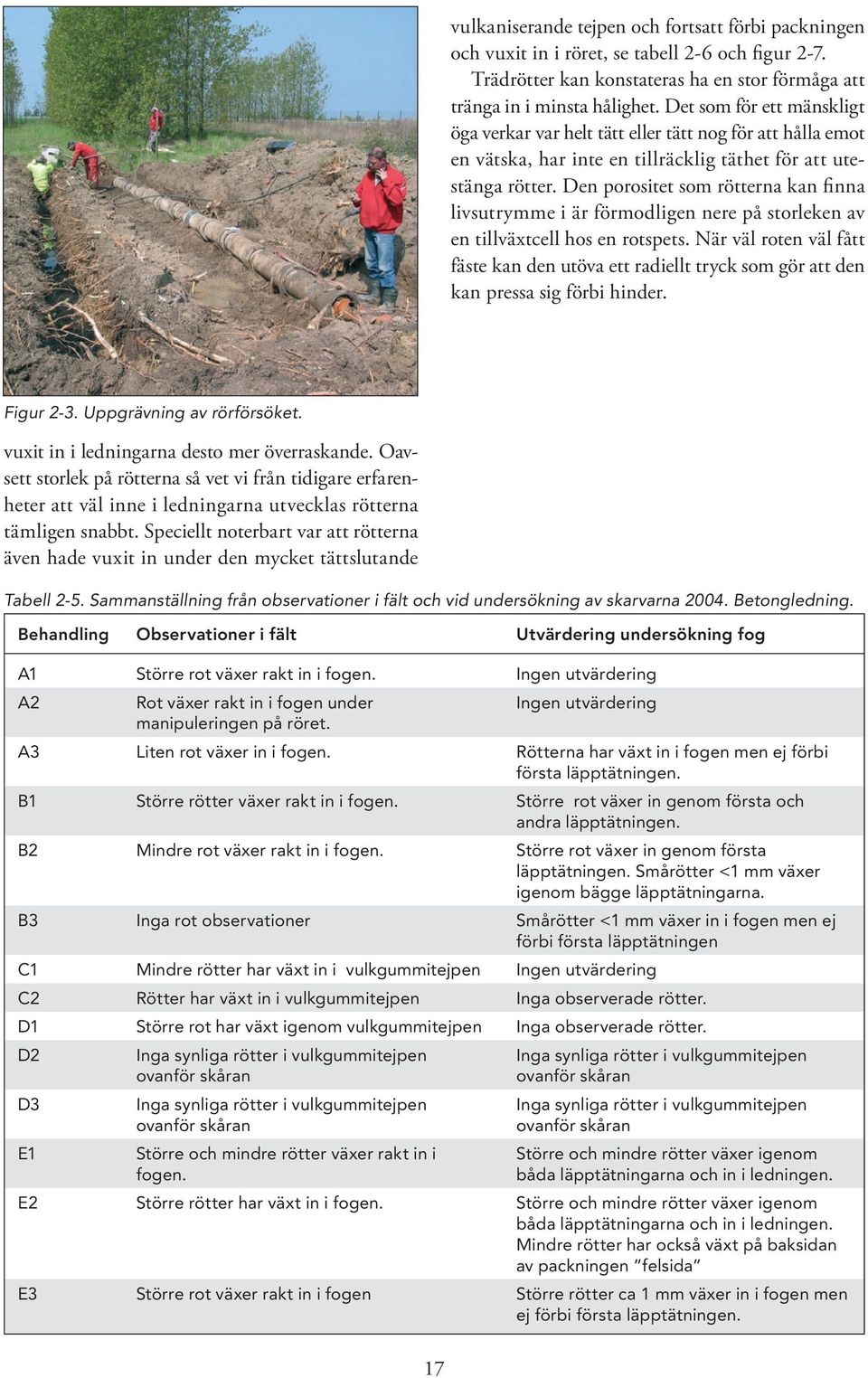 Den porositet som rötterna kan finna livsutrymme i är förmodligen nere på storleken av en tillväxtcell hos en rotspets.