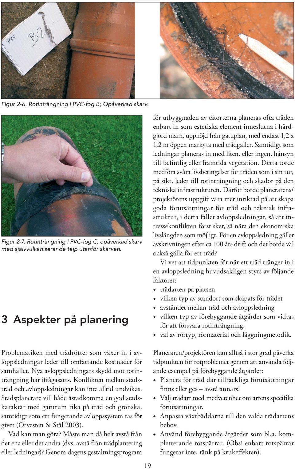 trädgaller. Samtidigt som ledningar planeras in med liten, eller ingen, hänsyn till befintlig eller framtida vegetation.