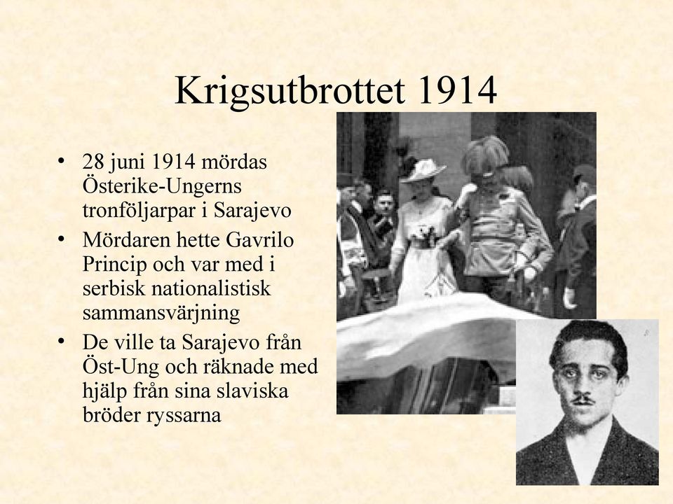 med i serbisk nationalistisk sammansvärjning De ville ta