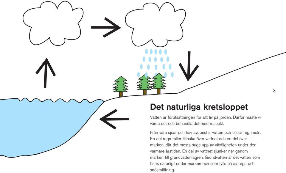 En del regn faller tillbaka över vattnet och en del över marken, där det mesta sugs upp av växtligheten under den varmare