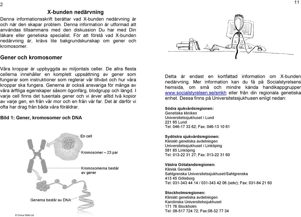 För att förstå vad X-bunden nedärvning är, krävs lite bakgrundskunskap om gener och kromosomer. 11 Gener och kromosomer Våra kroppar är uppbyggda av miljontals celler.