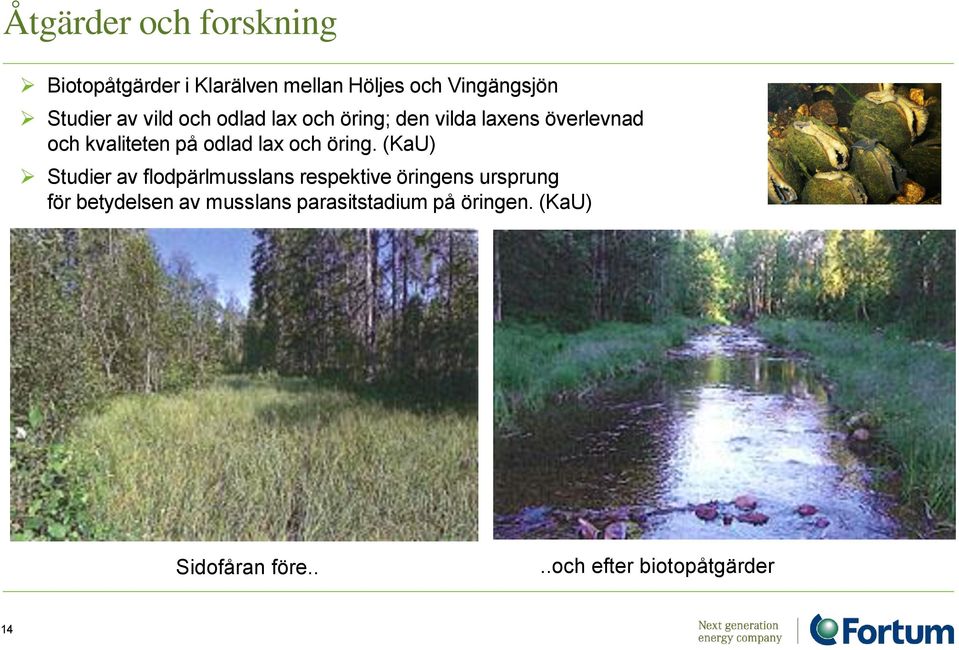 och öring.