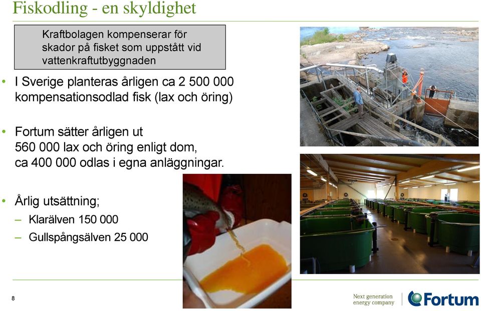 fisk (lax och öring) Fortum sätter årligen ut 560 000 lax och öring enligt dom, ca 400