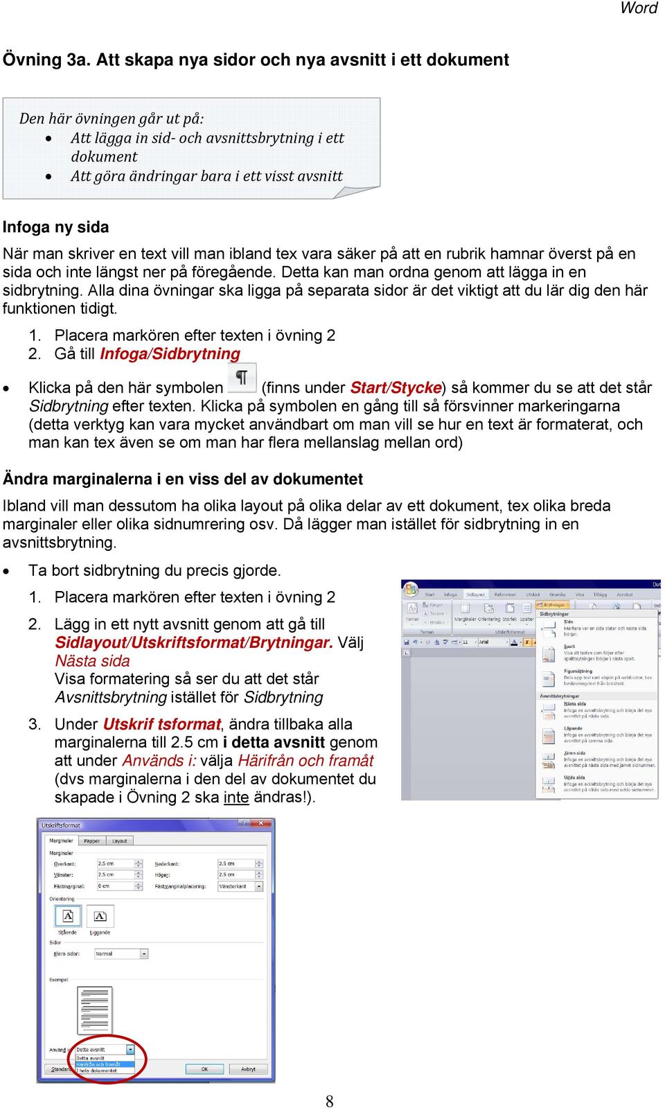 skriver en text vill man ibland tex vara säker på att en rubrik hamnar överst på en sida och inte längst ner på föregående. Detta kan man ordna genom att lägga in en sidbrytning.
