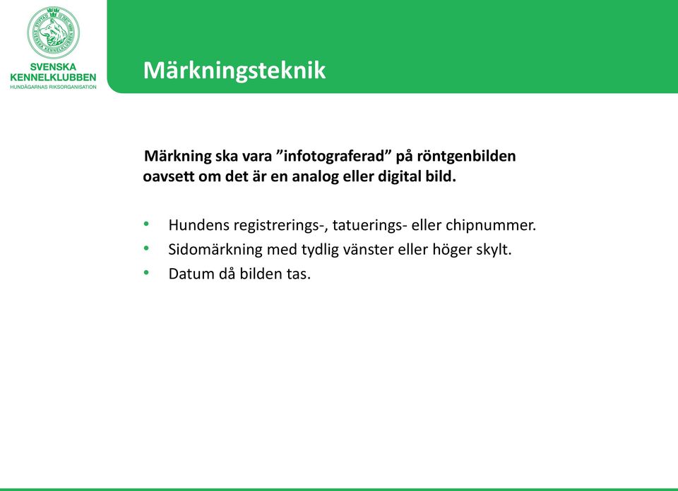 bild. Hundens registrerings-, tatuerings- eller chipnummer.