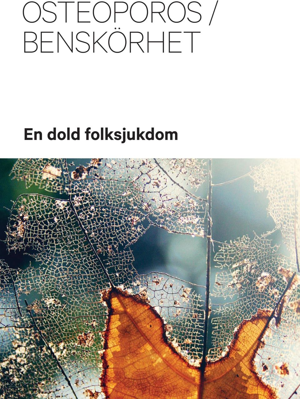 BENSKÖRHET