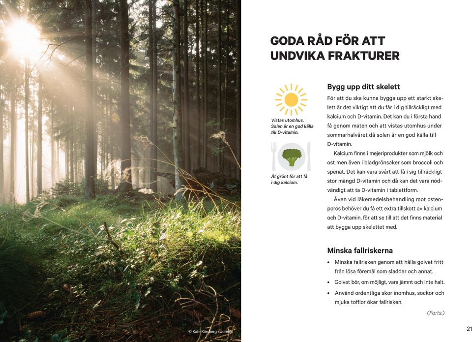 Det kan du i första hand få genom maten och att vistas utomhus under sommarhalvåret då solen är en god källa till D-vitamin.