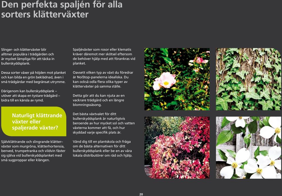 Därigenom kan bullerskyddsplank utöver att skapa en tystare trädgård bidra till en känsla av rymd. Naturligt klättrande växter eller spaljerade växter?
