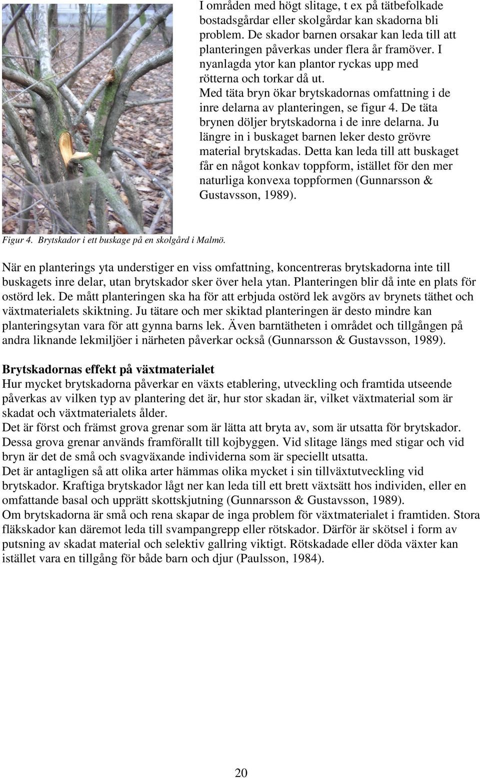 De täta brynen döljer brytskadorna i de inre delarna. Ju längre in i buskaget barnen leker desto grövre material brytskadas.