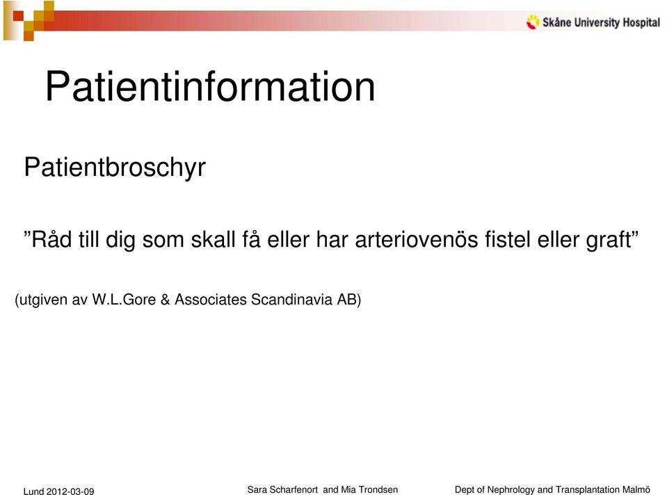 arteriovenös fistel eller graft