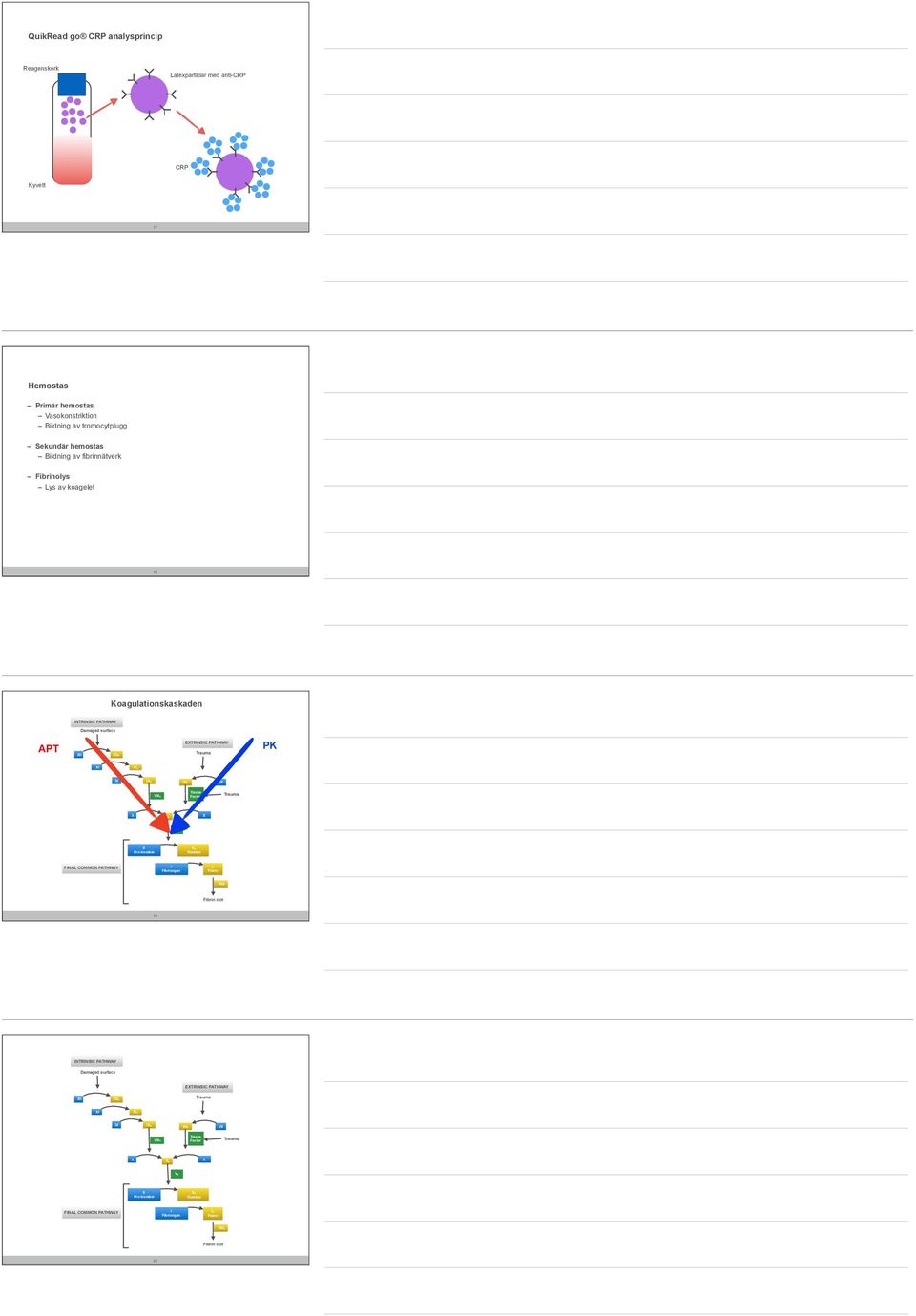 Koagulationskaskaden INTRINSIC PATHWAY Damaged surface APT ETRINSIC PATHWAY PK I I V Tissue Factor Trombin FINAL COMMON PATHWAY I Fibrinogen