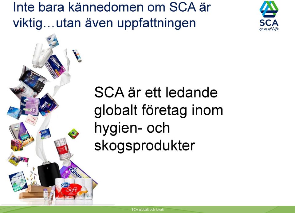 SCA är ett ledande globalt