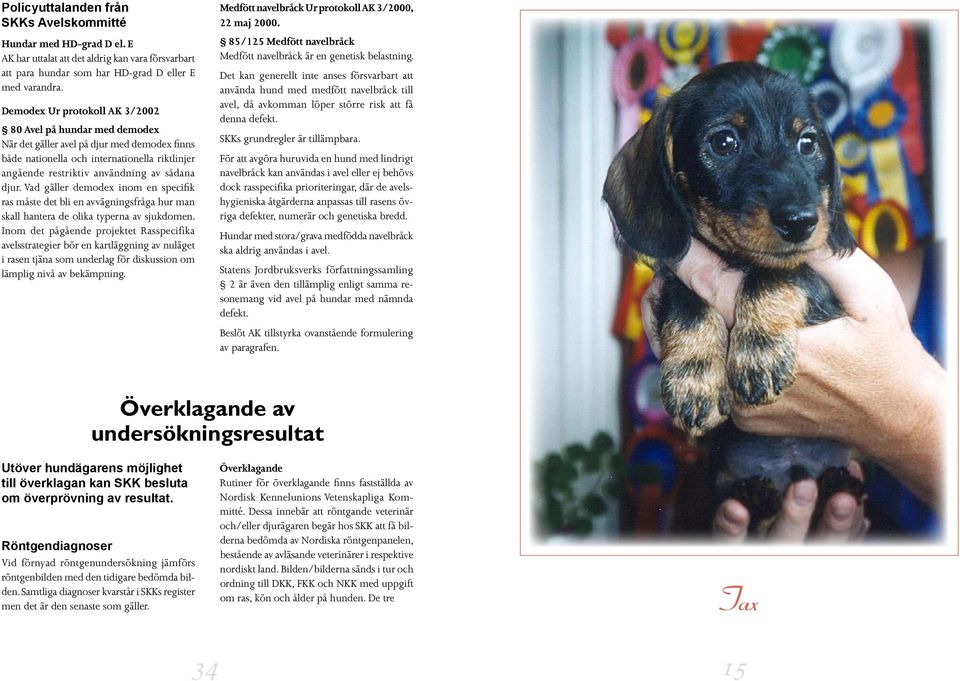 Vad gäller demodex inom en specifik ras måste det bli en avvägningsfråga hur man skall hantera de olika typerna av sjukdomen.