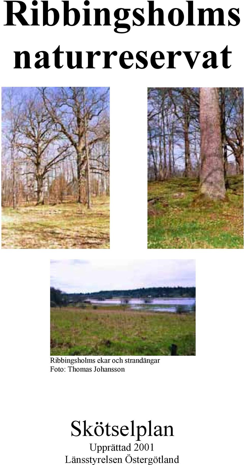 Foto: Thomas Johansson Skötselplan