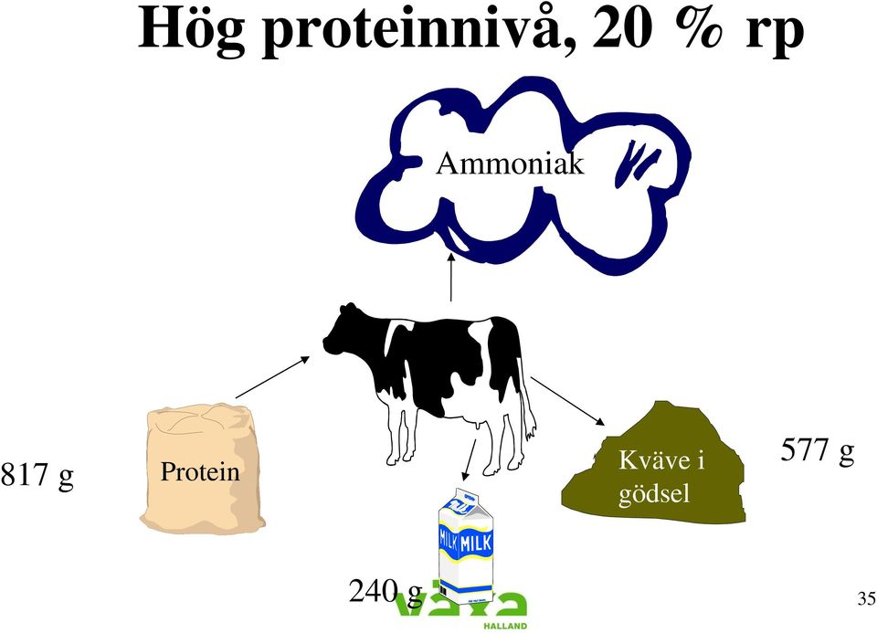 Protein Kväve i