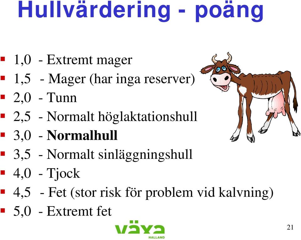 3,0 - Normalhull 3,5 - Normalt sinläggningshull 4,0 - Tjock