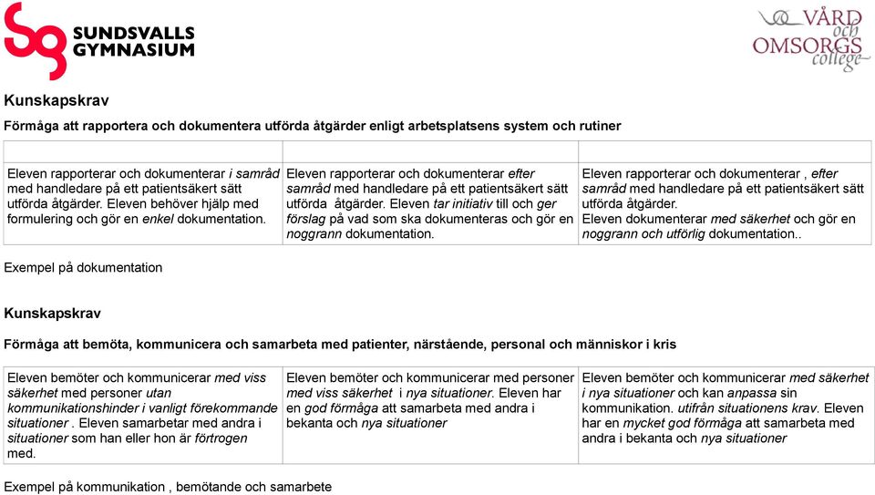 Exempel på dokumentation Eleven rapporterar och dokumenterar efter samråd med handledare på ett patientsäkert sätt utförda åtgärder.