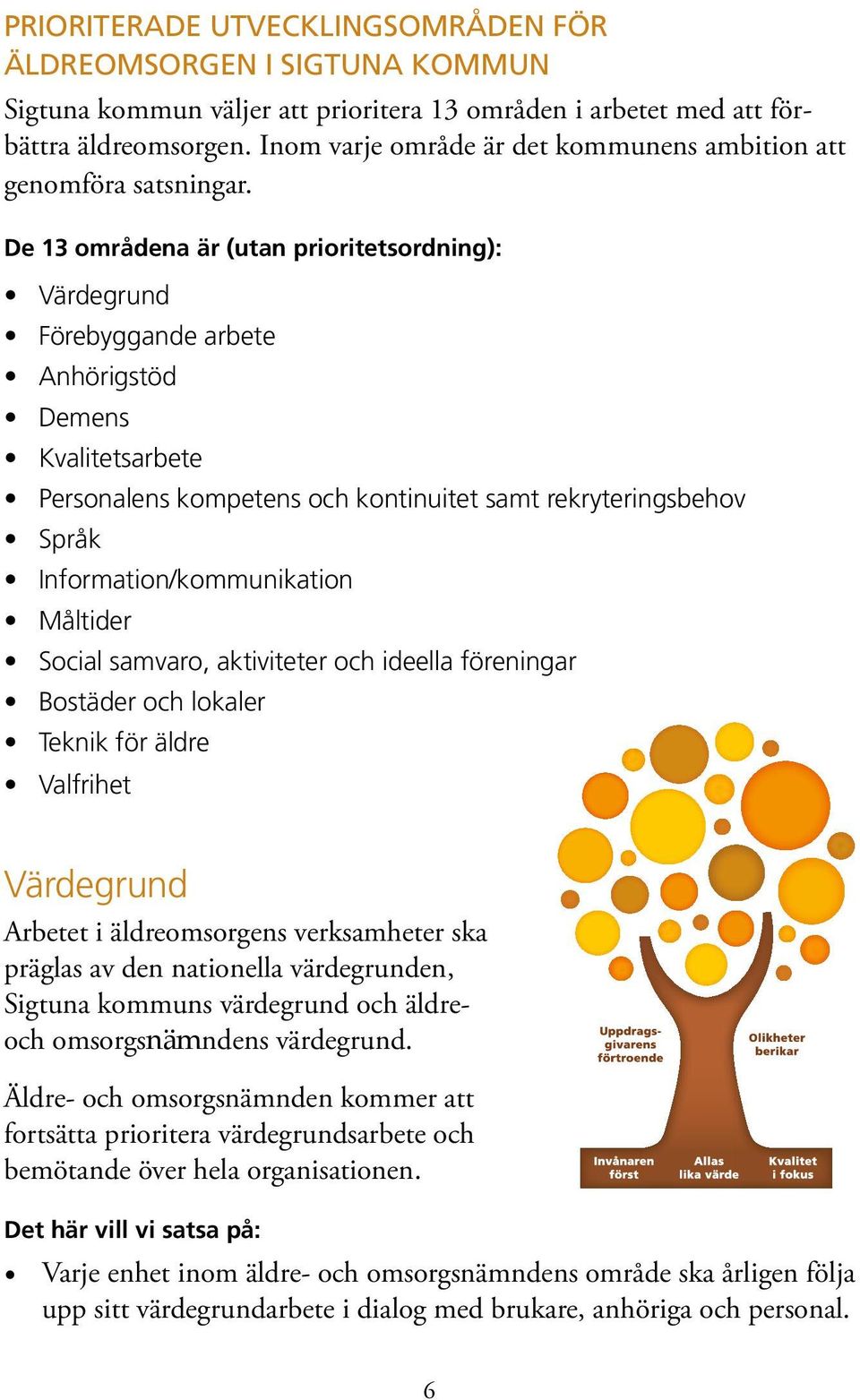 De 13 områdena är (utan prioritetsordning): Värdegrund Förebyggande arbete Anhörigstöd Demens Kvalitetsarbete Personalens kompetens och kontinuitet samt rekryteringsbehov Språk