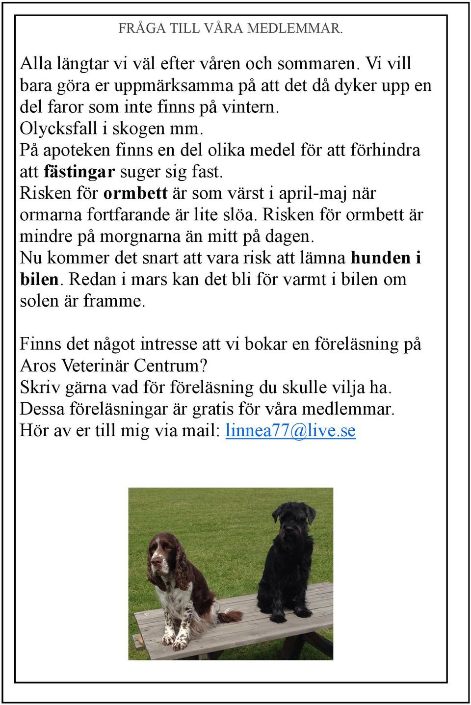 Risken för ormbett är mindre på morgnarna än mitt på dagen. Nu kommer det snart att vara risk att lämna hunden i bilen. Redan i mars kan det bli för varmt i bilen om solen är framme.