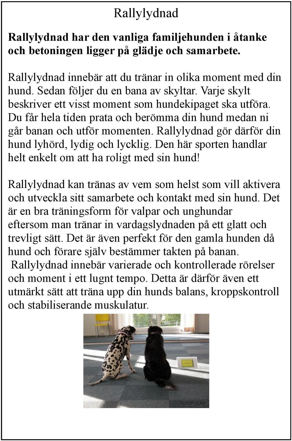 Rallylydnad gör därför din hund lyhörd, lydig och lycklig. Den här sporten handlar helt enkelt om att ha roligt med sin hund!