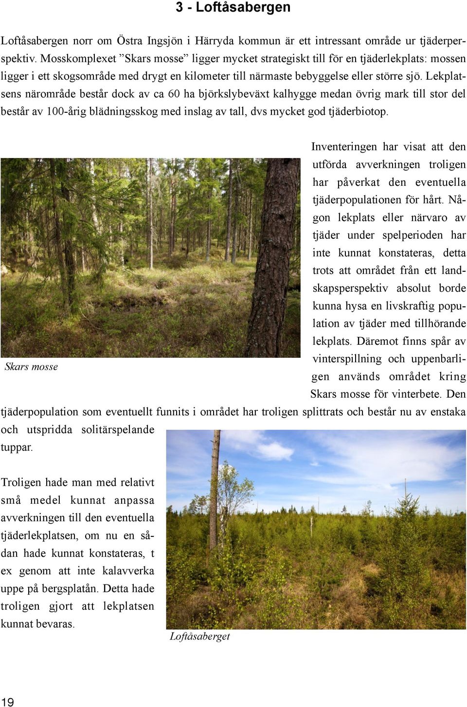 Lekplatsens närområde består dock av ca 60 ha björkslybeväxt kalhygge medan övrig mark till stor del består av 100-årig blädningsskog med inslag av tall, dvs mycket god tjäderbiotop.