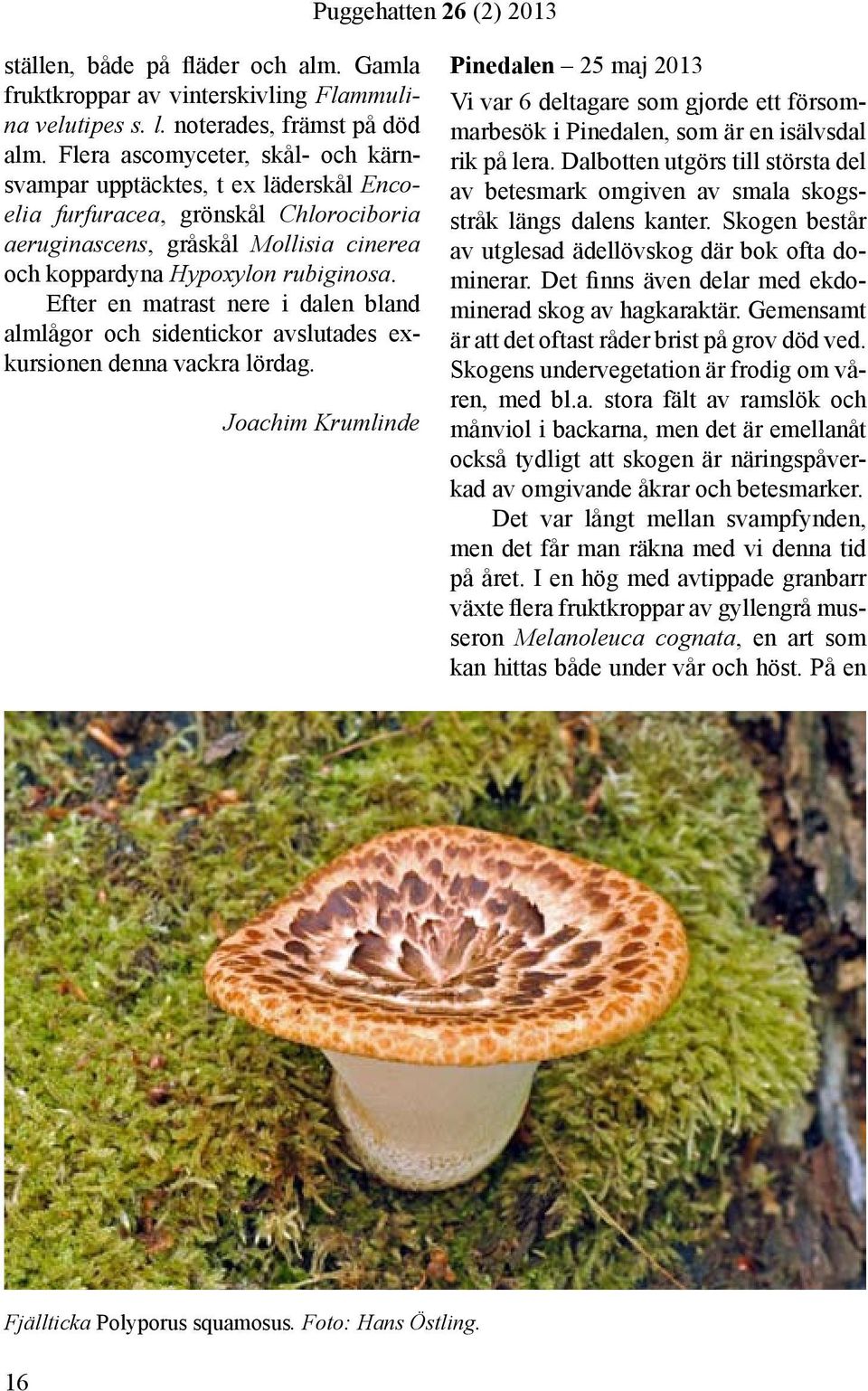 Efter en matrast nere i dalen bland almlågor och sidentickor avslutades exkursionen denna vackra lördag.