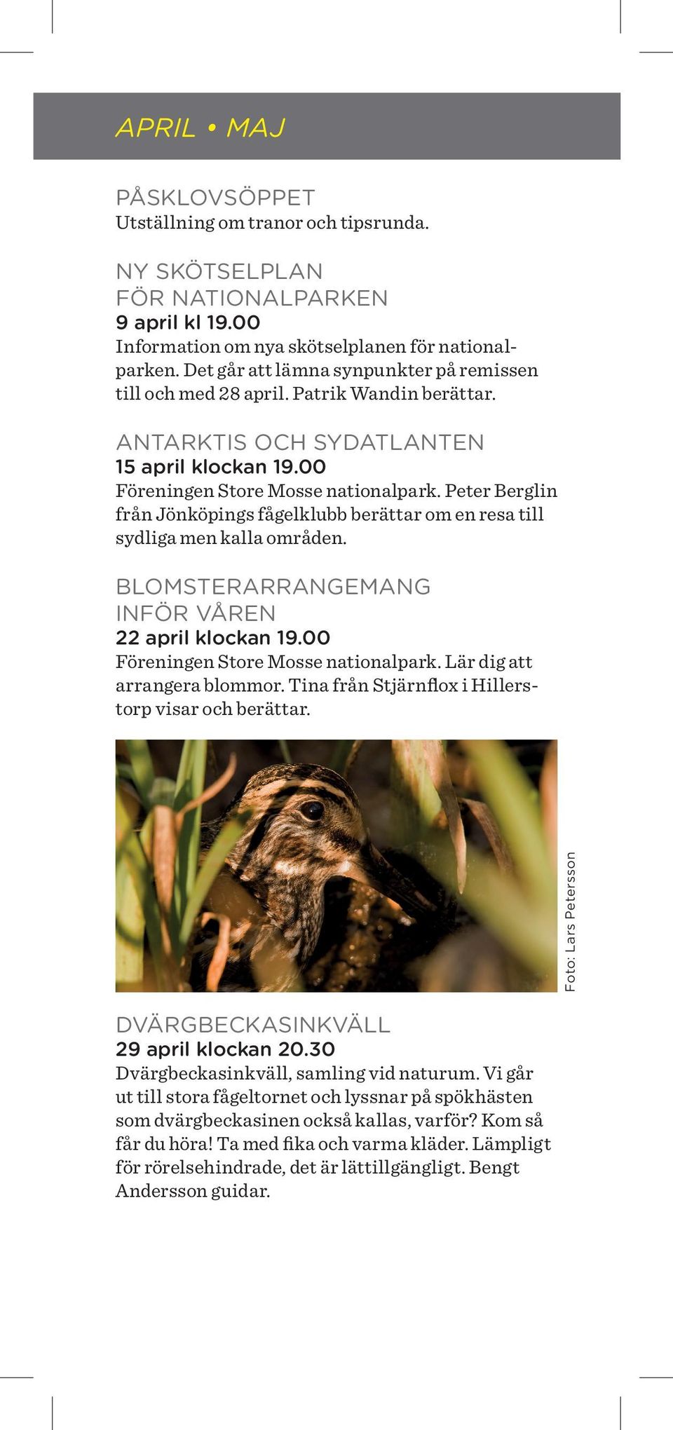 Peter Berglin från Jönköpings fågelklubb berättar om en resa till sydliga men kalla områden. BLOMSTERARRANGEMANG INFÖR VÅREN 22 april klockan 19.00 Föreningen Store Mosse nationalpark.