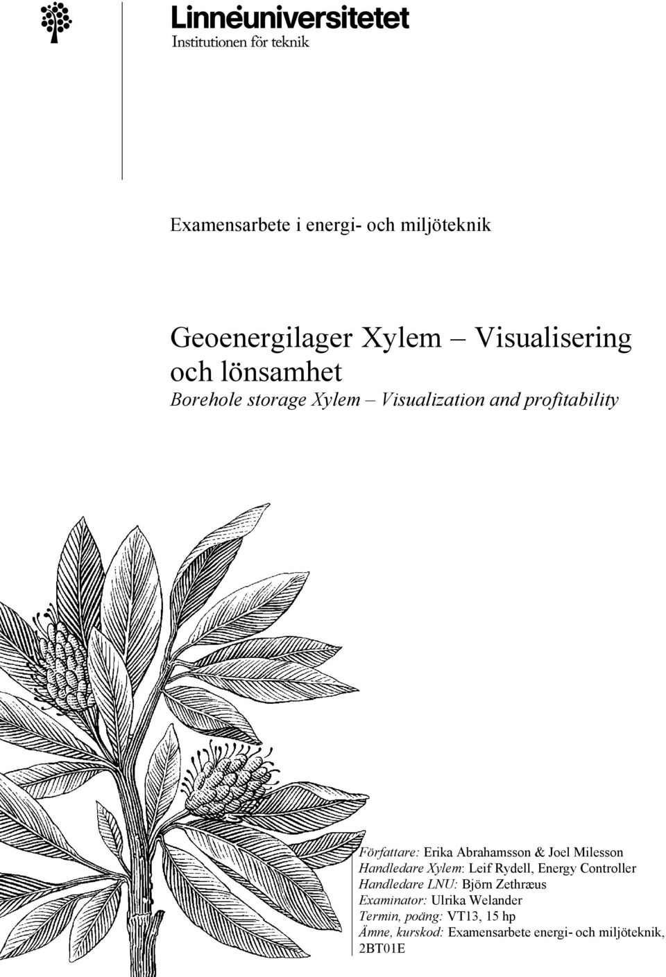 Xylem: Leif Rydell, Energy Controller Handledare LNU: Björn Zethræus Examinator: Ulrika