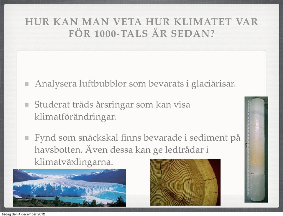 Studerat träds årsringar som kan visa klimatförändringar.