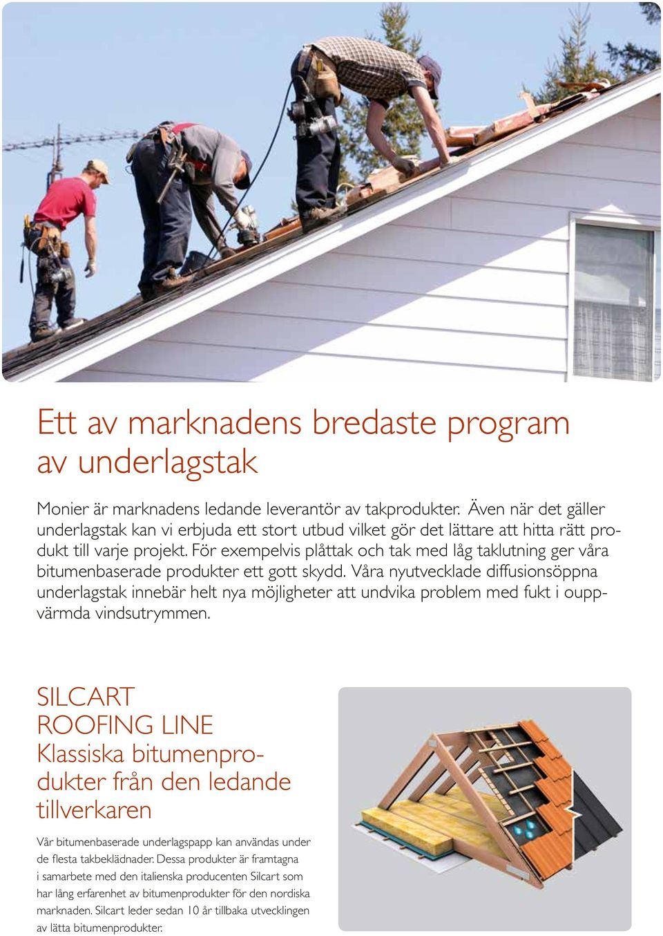 För exempelvis plåttak och tak med låg taklutning ger våra bitumenbaserade produkter ett gott skydd.