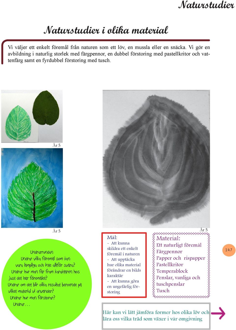 År 5 År 5 År 5 - Att kunna Ett naturligt föremål skildra ett enkelt Undrarrundan föremål i naturen Färgpennor Undrar vilka föremål som kan - Att upptäcka och rispapper vara lämpliga och inte alltför