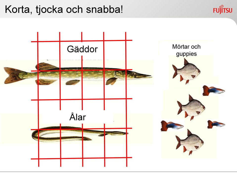 Gäddor Mörtar