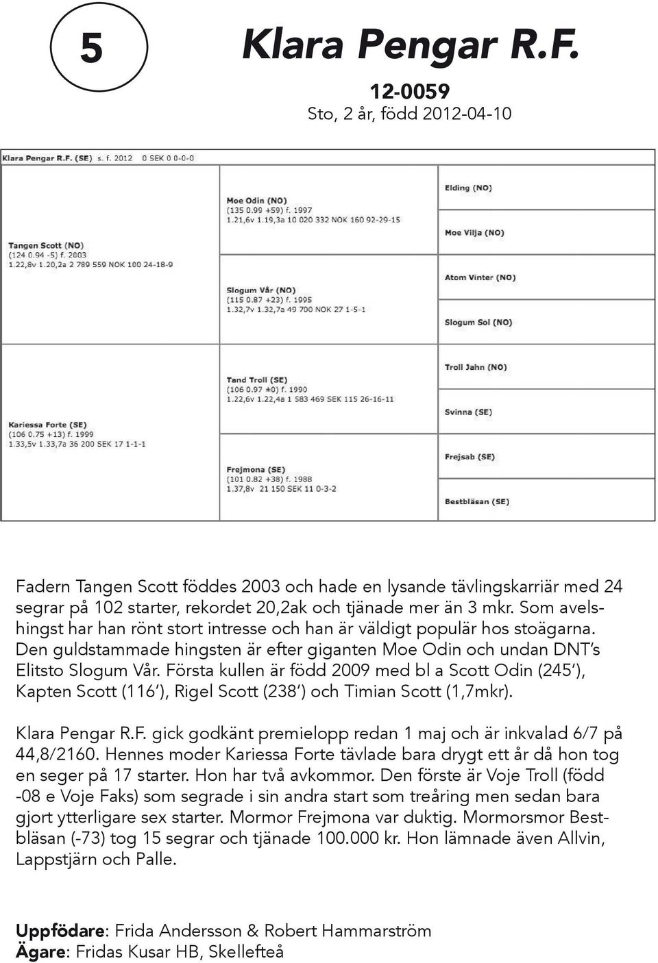 Första kullen är född 2009 med bl a Scott Odin (245 ), Kapten Scott (116 ), Rigel Scott (238 ) och Timian Scott (1,7mkr). Klara Pengar R.F. gick godkänt premielopp redan 1 maj och är inkvalad 6/7 på 44,8/2160.