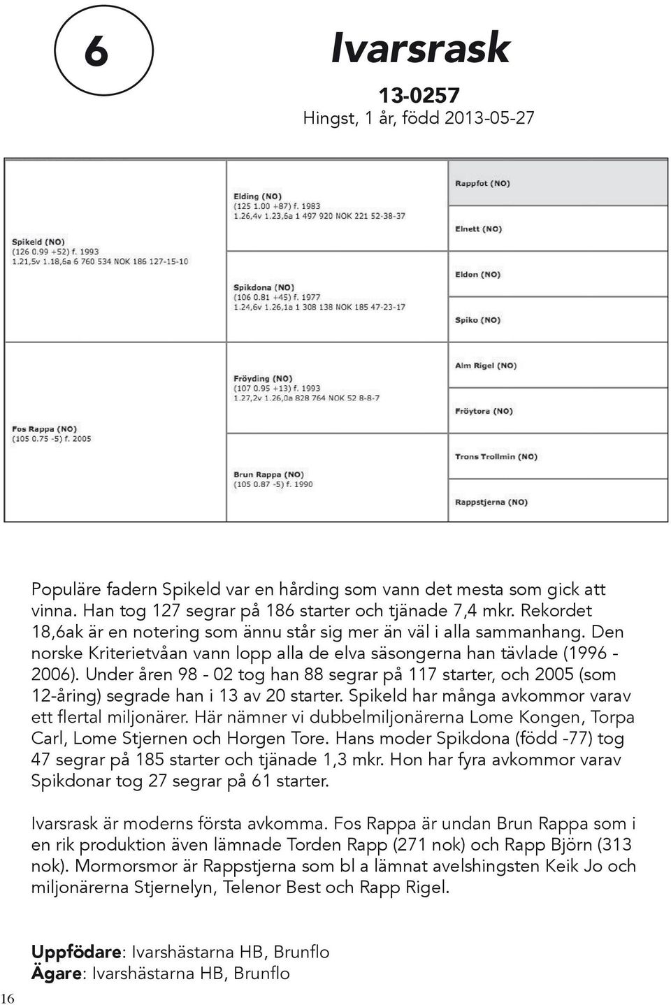 Under åren 98-02 tog han 88 segrar på 117 starter, och 2005 (som 12-åring) segrade han i 13 av 20 starter. Spikeld har många avkommor varav Carl, Lome Stjernen och Horgen Tore.